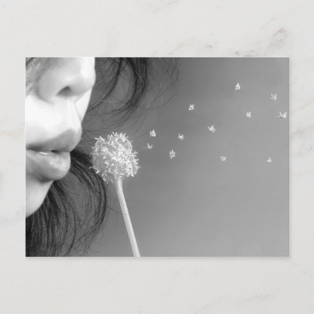 Wish Postcard (Front)