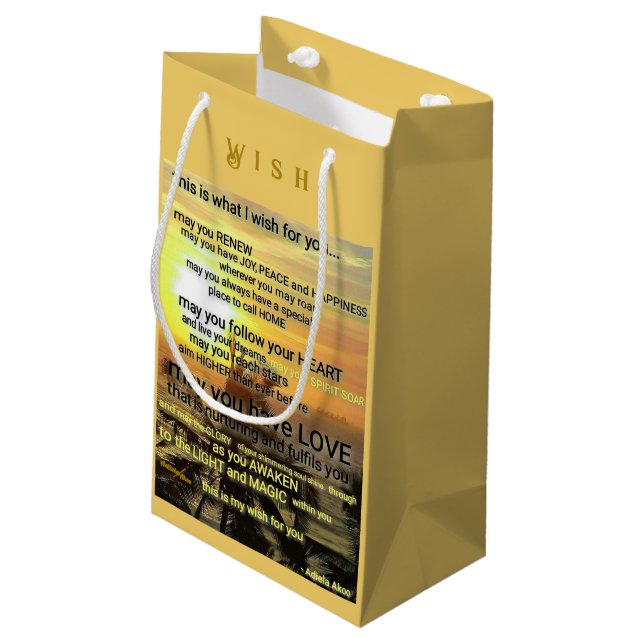 Wish Small Gift Bag by Adiela Akoo (Back Angled)