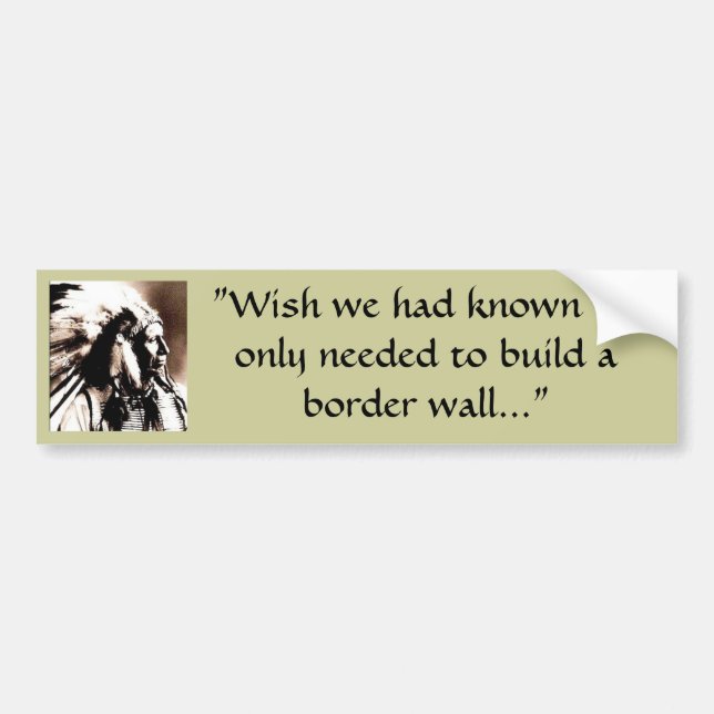 Wish we had built a border wall bumper sticker (Front)