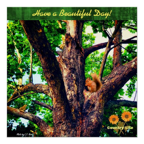 Wish You a Beautiful Day __ Tree _ Country Life Poster