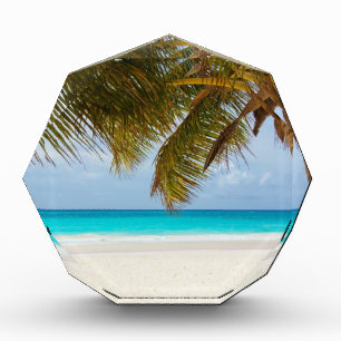 Wish you were here! acrylic award