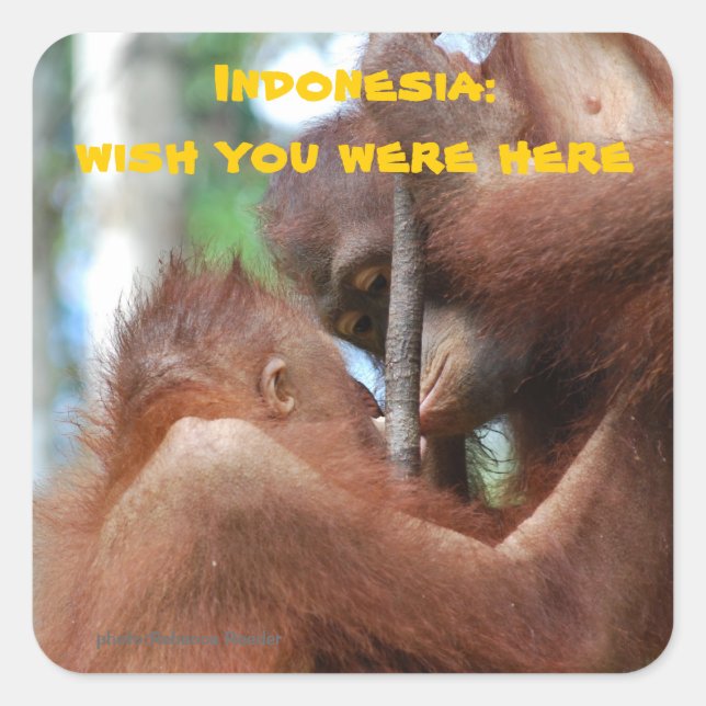 Wish You Were Here from Indonesia Square Sticker (Front)