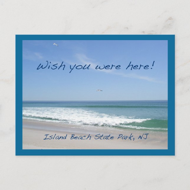 Wish You Were Here IBSP NJ Gulls Postcard (Front)