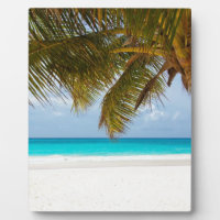 Wish you were here!