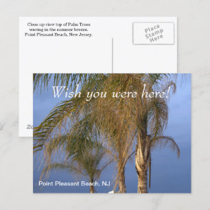 Wish you were here Point Pleasant Beach NJ Postcard