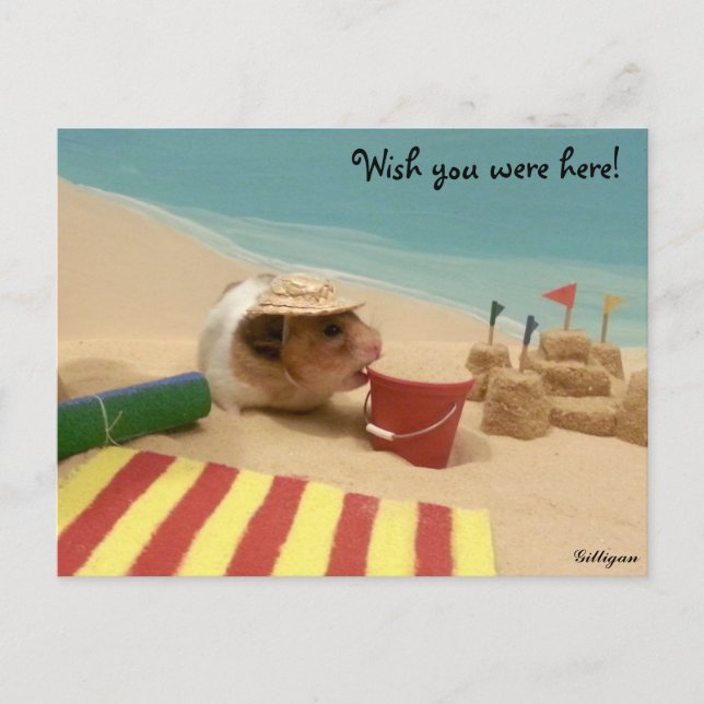 Wish you were here! postcard (Front)