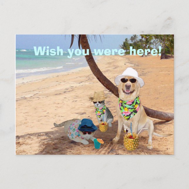 Wish You Were Here! Postcard (Front)