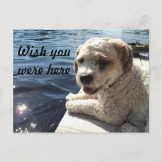 Wish you were here postcard