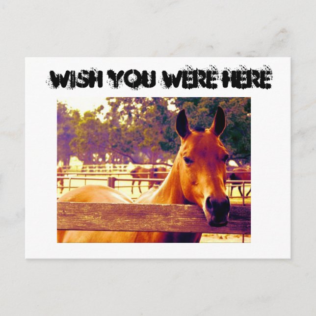 Wish You Were Here Postcard (Front)