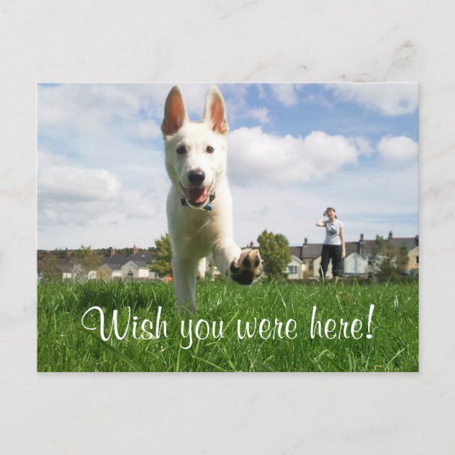 Wish you were here! postcard (Front)