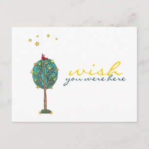 Wish You Were Here Red Bird Shooting Star Design Postcard