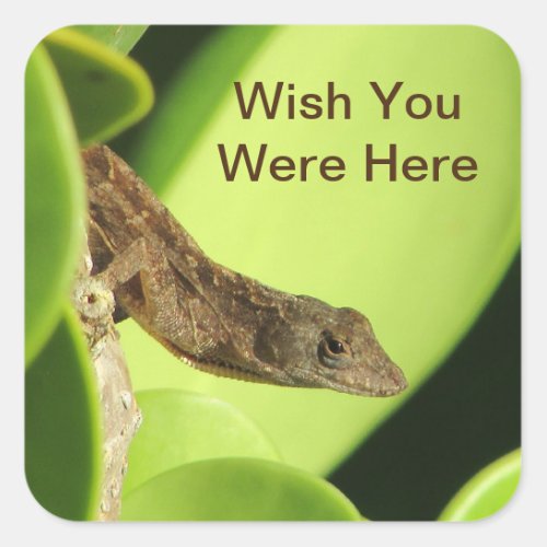 Wish You Were Here Tropical Gecko Lizard Friends Square Sticker