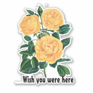 Wish you were here, Yellow Roses design Sticker