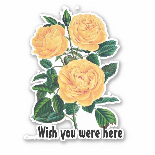 Wish you were here, Yellow Roses design Sticker (Front)