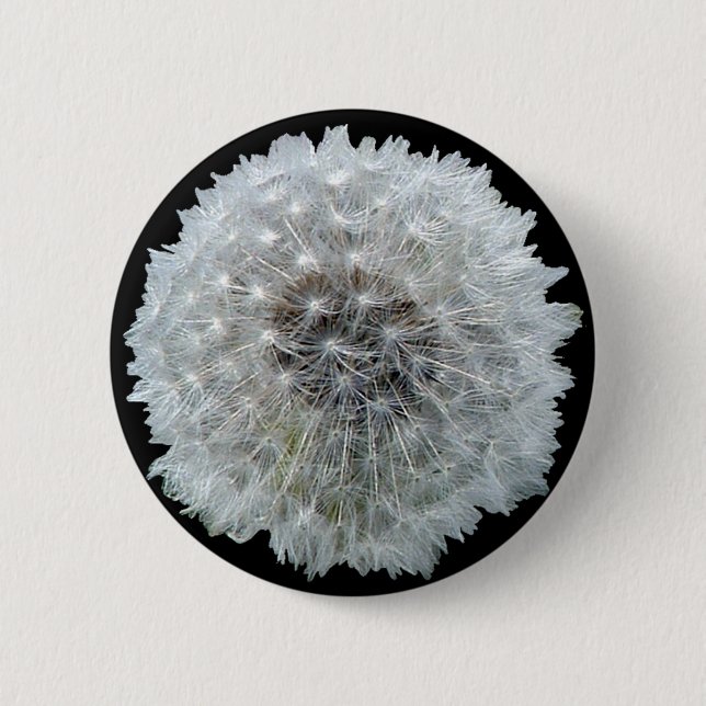 Wishes are Dandy Pinback Button (Front)