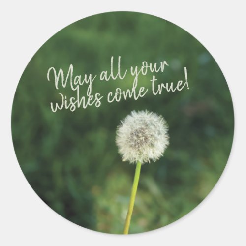 Wishes Come True Dandelion  Classic Round Sticker