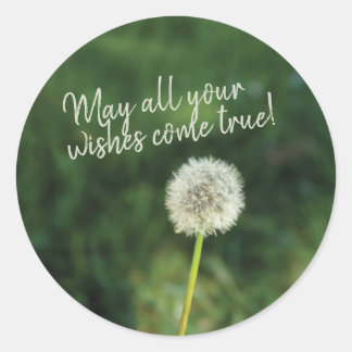 Wishes Come True Dandelion Classic Round Sticker