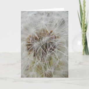 Wishes Large Note Card