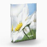 Wishes with White Daisies Personalized Acrylic Award<br><div class="desc">This is the elegant gift you were looking for. White daisies in the countryside. This beautiful design almost makes you feel the breeze. Perfect for a woman or man of any age who enjoys nature.</div>
