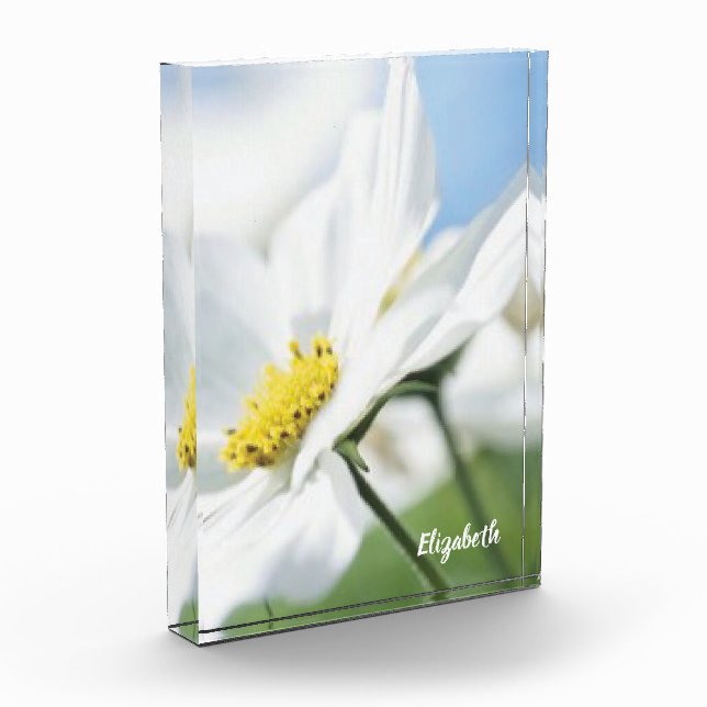 Wishes with White Daisies Personalized Acrylic Award (Left)