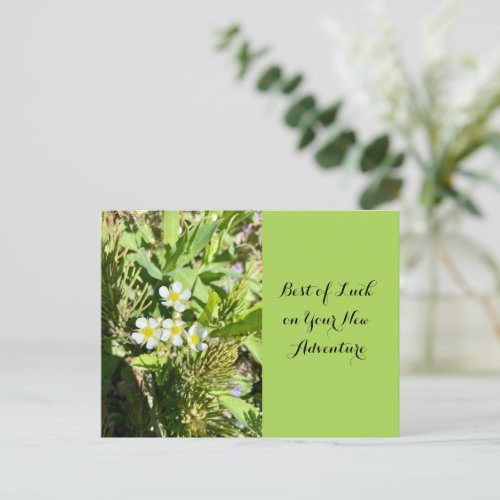 Wishing Best of Luck Wildflower Postcard