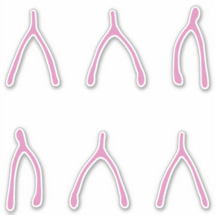 Wishing Bones Cute Pink Wishbone Sticker