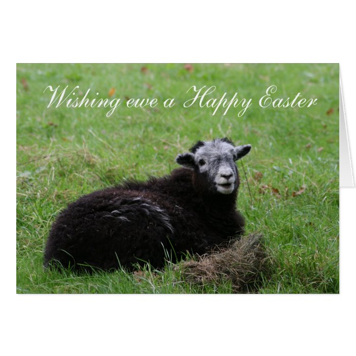 Wishing ewe a Happy Easter Card