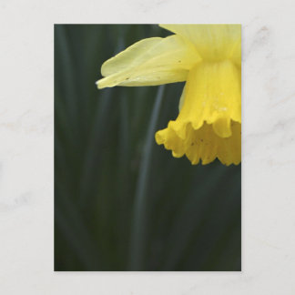 Wishing for Warmth Postcard