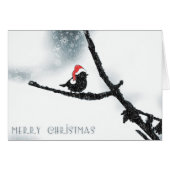 Wishing Happy Holiday Christmas Bird Santa Hat (Front Horizontal)