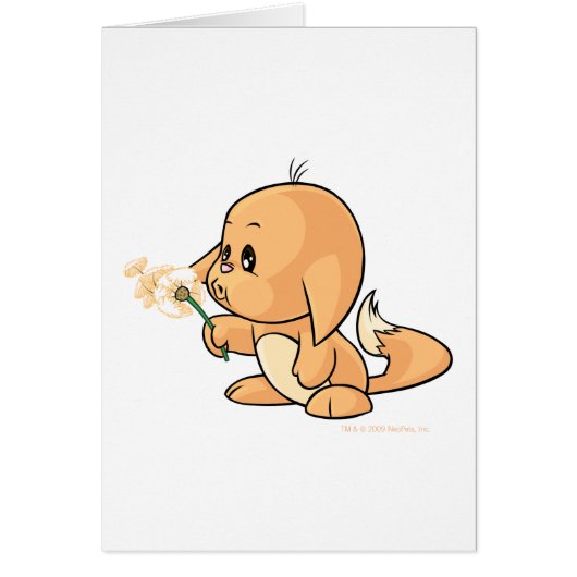 Wishing orange Kacheek Cards (Front)
