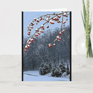 Wishing You A Beautiful Christmas Season! Holiday Card