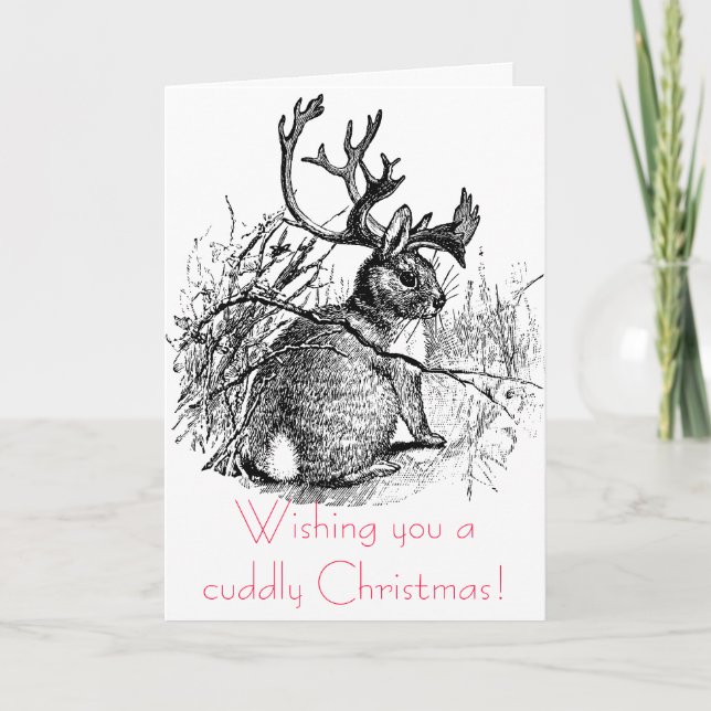 Wishing you a cuddly Christmas! Holiday Card (Front)