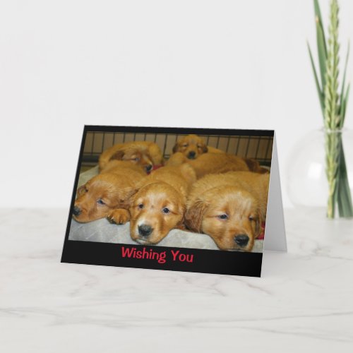Wishing You A Dog_Gone Merry Christmas Card