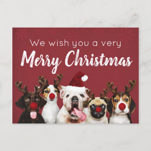 Wishing You A Merry Christmas Puppy Postcard
