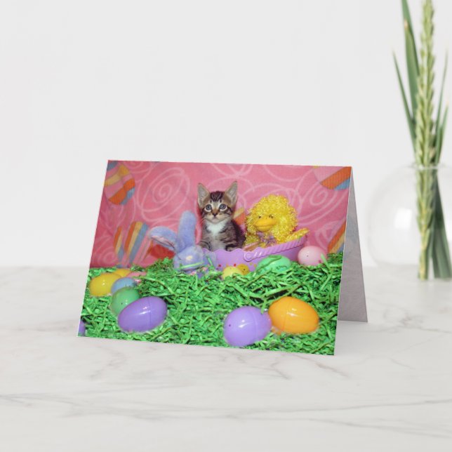 Wishing you a Purrrrfect Easter! Holiday Card (Front)