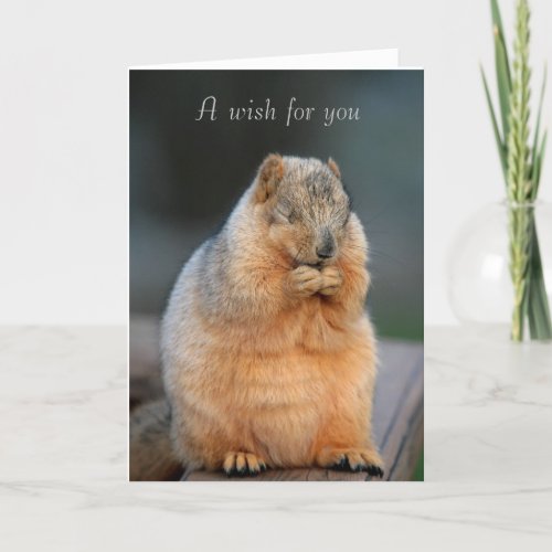 Wishing you a speedy recovery _ Get Well card