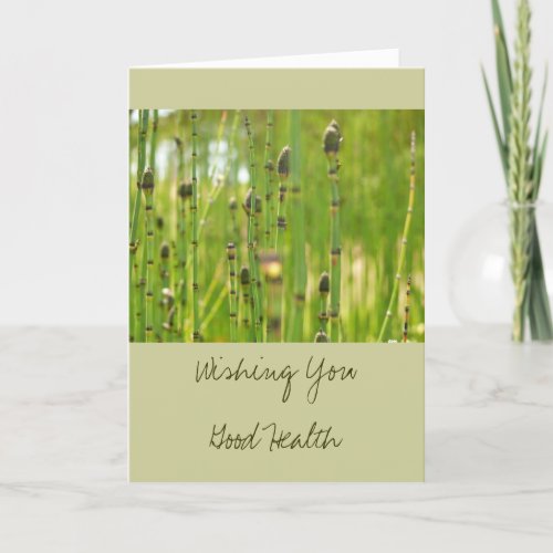 Wishing You Good Health Get Well Card