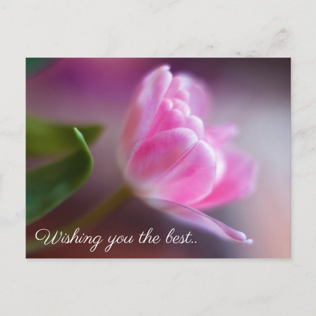 Wishing you the best - Rose Birthday Card (Front)