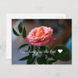 Wishing You The Best ♥ Rose Postcard | Zazzle