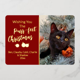 Wishing You the Purr-fect Christmas Cat Photo Foil Holiday Card