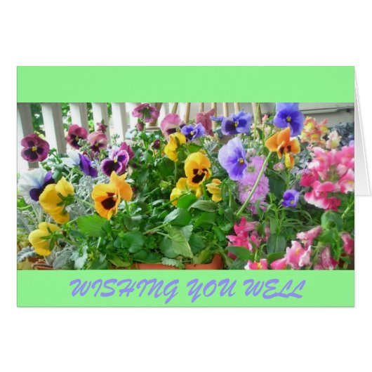 WISHING YOU WELL CARDS (Front Horizontal)