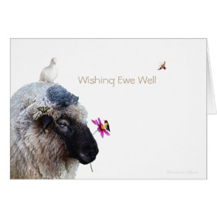 Wishing you Well: Healing Gifts of nature Cards