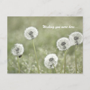 Wishing you were here... postcard