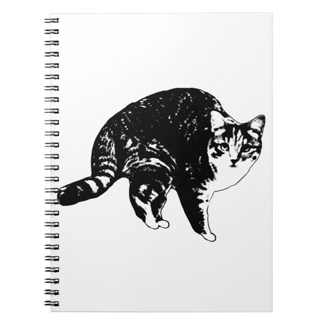 Wishlist Tabby Journal (Front)