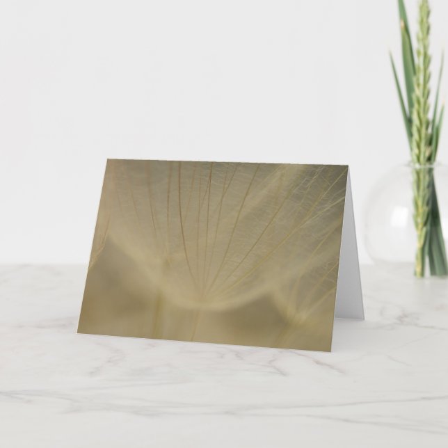 Wispy White Flower Card (Front)