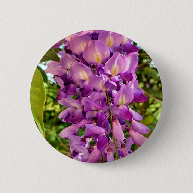 Wisteria Bloom Badge Button (Front)