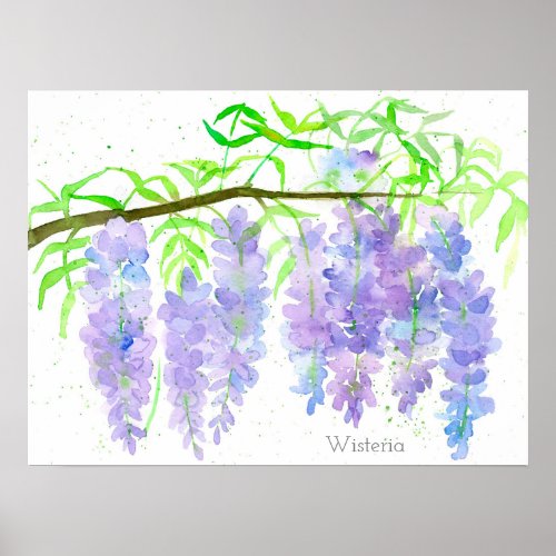 Wisteria Blooming Tree Branch Watercolor Botanical Poster