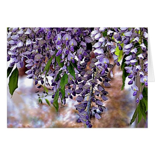 Wisteria Cards (Front Horizontal)
