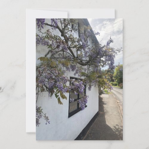 Wisteria growing against a white_walled cottage holiday card