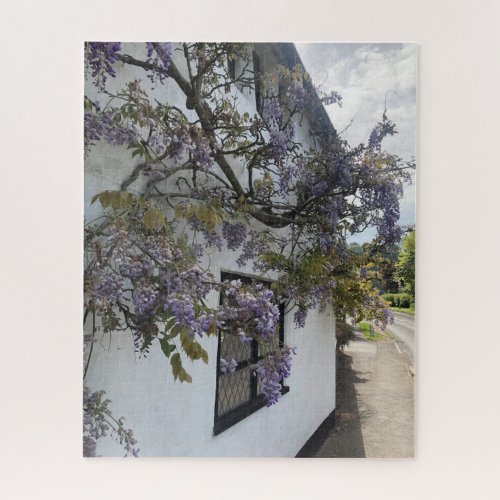 Wisteria growing against a white_walled cottage jigsaw puzzle